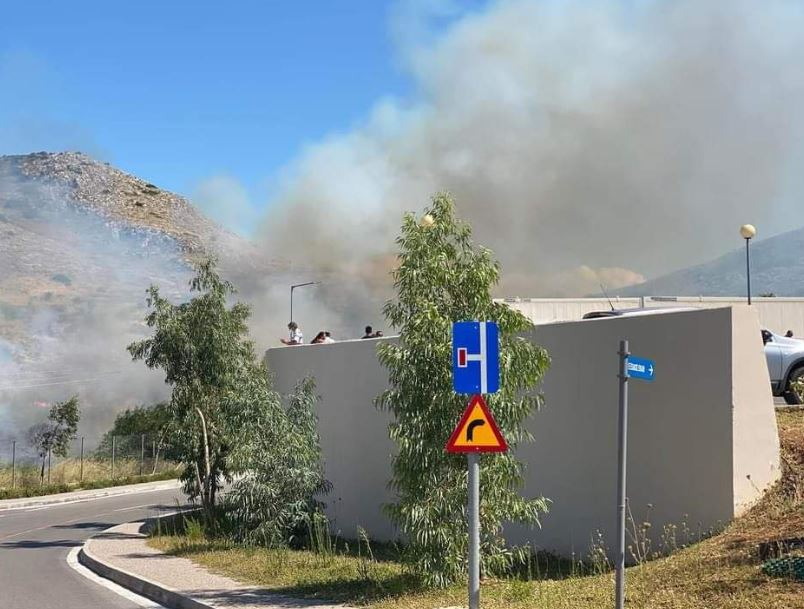 Φωτιά στην Καλογρίτσα Χαλκίδας