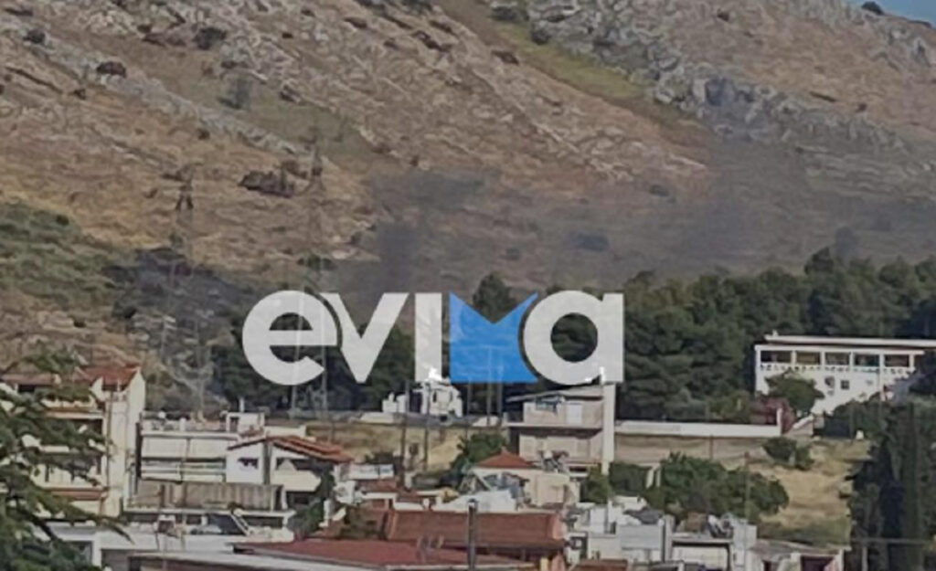 Φωτιά τώρα στη Χαλκίδα – Κοντά στο νοσοκομείο η πυρκαγιά