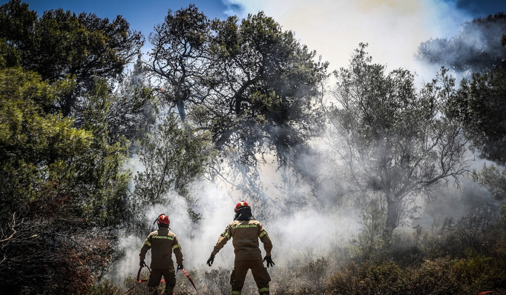 Προστασία από τις πυρκαγιές – Αναλυτικός οδηγός
