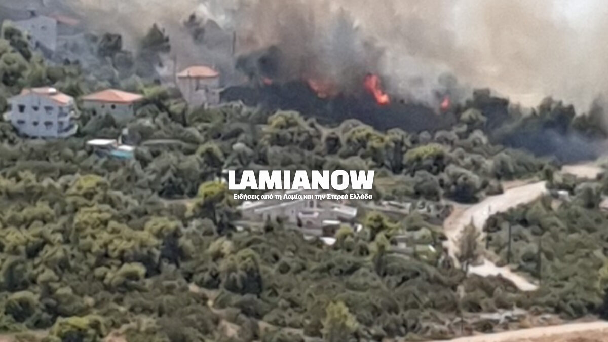 Συναγερμός στον Θεολόγο Φθιώτιδας: Η φωτιά κυκλώνει τα σπίτια, εντολή εκκένωσης