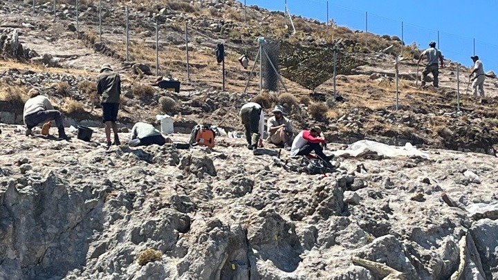 Στη δυτική Λέσβο δεν υπάρχει μόνο ένα απολιθωμένο δάσος αλλά… τέσσερα