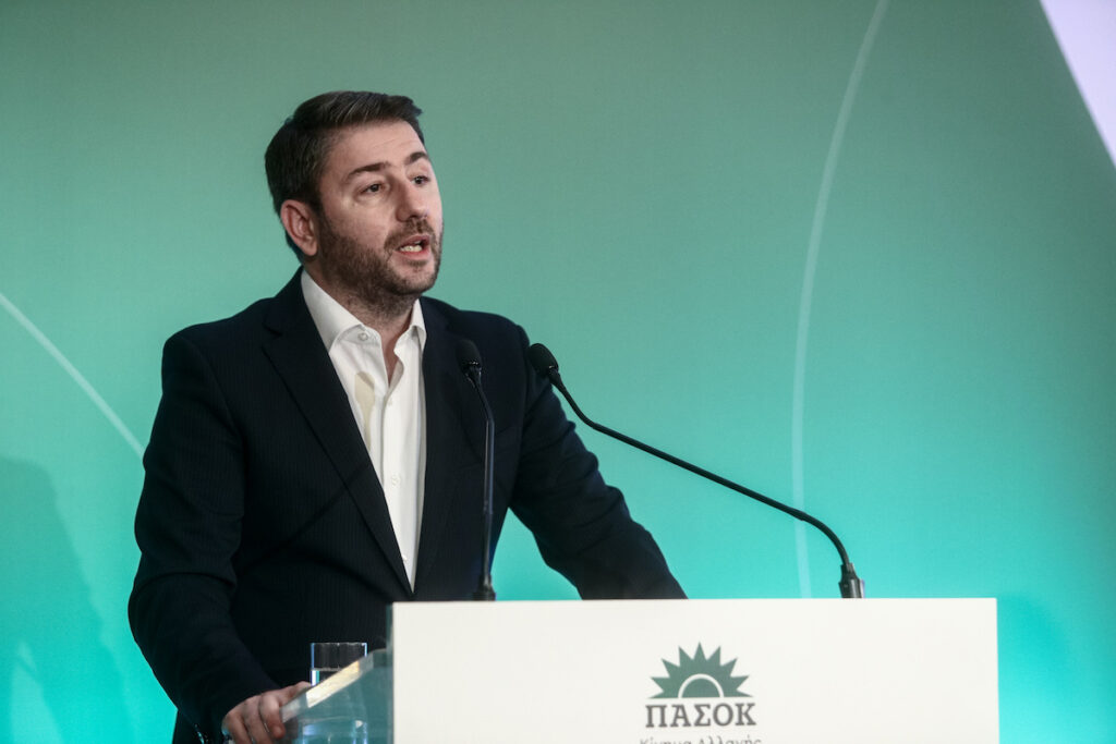 Νίκος Ανδρουλάκης για Εύα Καϊλή: «Ήταν δούρειος ίππος της Ν.Δ.»