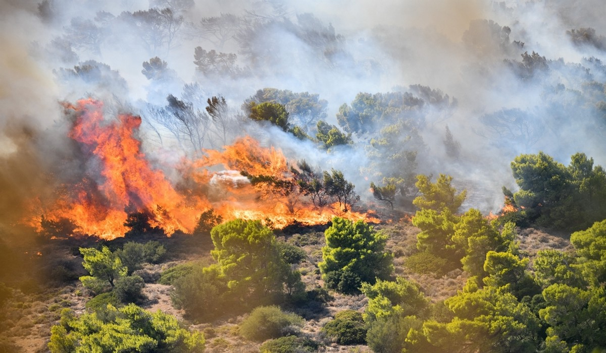 Μαίνεται η φωτιά στην Κέρκυρα – Μόνο επίγεια μέσα στο μέτωπο