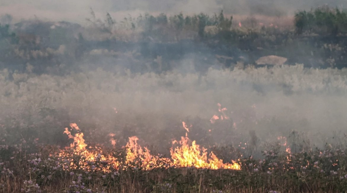 Φωτιά στον Ασπρόπυργο – Ισχυρές δυνάμεις στην περιοχή