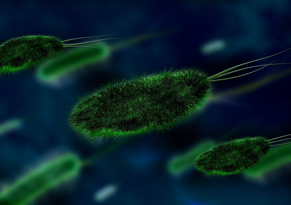 Hantavirus: Νεκρός στην Κίνα – Ο ιός μετά τον κορονοϊό που προκαλεί νέο πονοκέφαλο