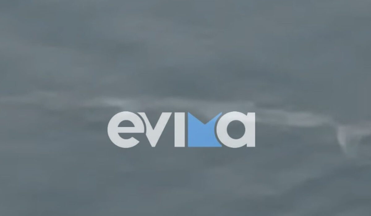 Φάλαινα φυσητήρας «εμφανίστηκε» στην Εύβοια, μοναδικές εικόνες (βίντεο)