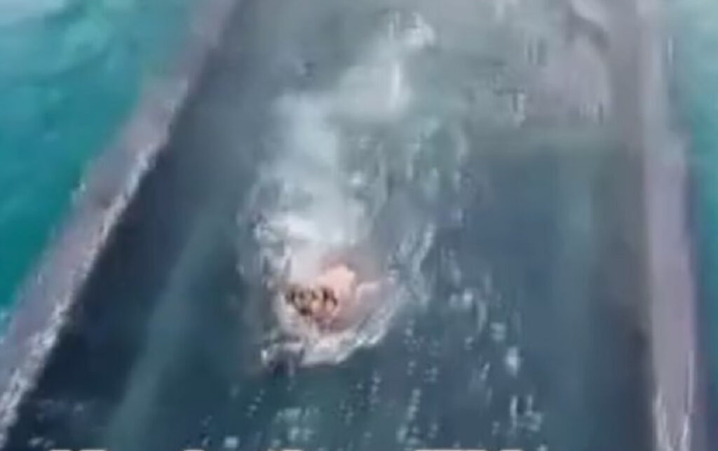 Ισθμός Κορίνθου: Σκύλος «παγιδεύεται» καθώς κατεβαίνει η βυθιζόμενη γέφυρα (βίντεο)