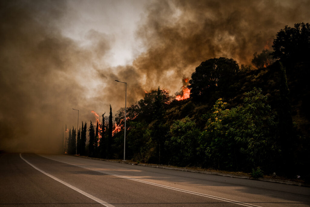 Φωτιά στη Λαμία: Συναγερμός για αναζωπύρωση – Ήχησε το 112