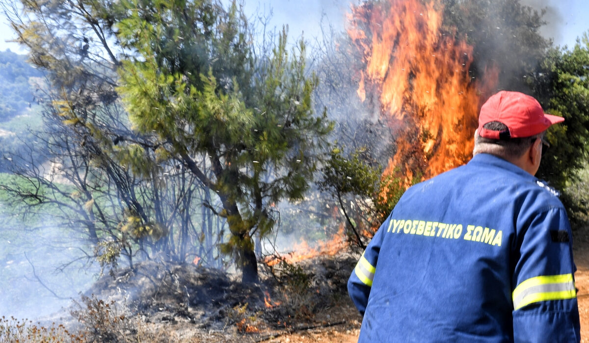 Φωτιά τώρα στο Ωραιόκαστρο Θεσσαλονίκης