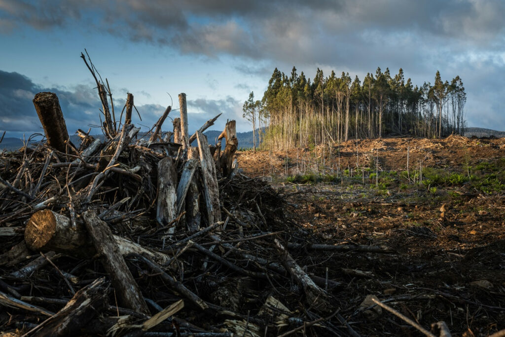 Rising temperatures and catastrophic extremes: Greece’s climate crisis unveiled in 2023