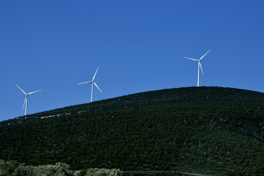 «Γιατί τα αιολικά πάρκα προστατεύουν τα δάση» – Η ανακοίνωση της ΕΛΕΤΕΑΝ