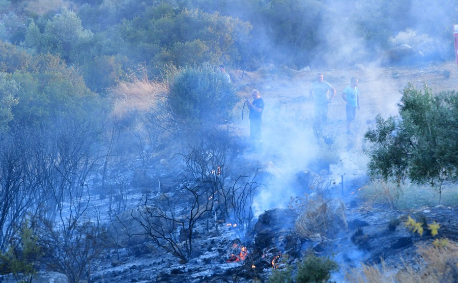 Πυρκαγιά στη Μεσσηνία τώρα