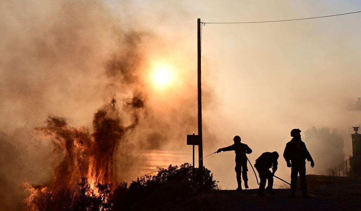 Εισαγγελική έρευνα για τον θάνατο δεκάδων ζώων σε καταφύγιο μετά τη φωτιά στο Λαγονήσι