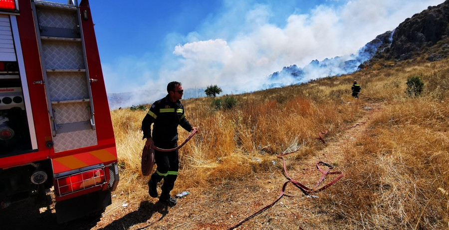 Απέτρεψαν πυρκαγιά στη Στερεά