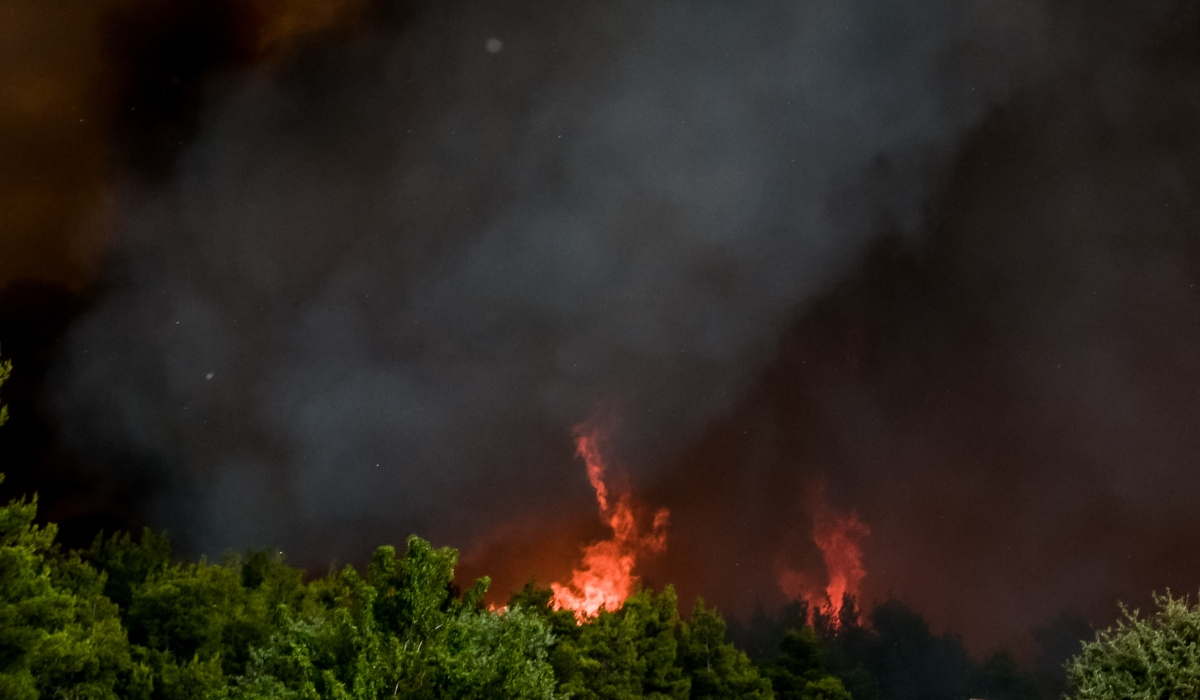 Φωτιά τώρα στην Αρκαδία