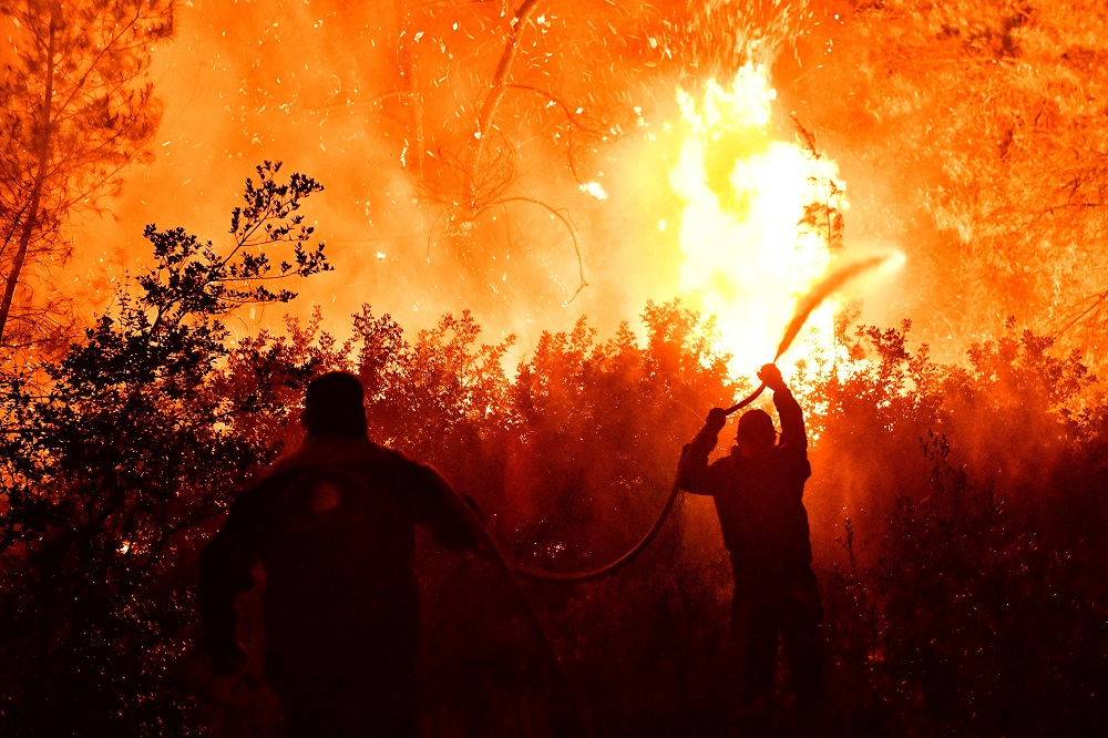Φωτιά στον Σχίνο: Δύσκολες ώρες για τους κατοίκους – Το χρονικό της καταστροφής και η δεύτερη νύχτα τρόμου