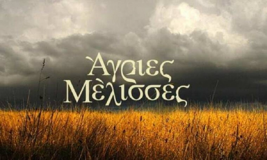 Άγριες Μέλισσες: Τι θα γίνει στα επόμενα επεισόδια