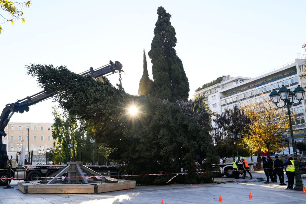 «Μύρισαν» Χριστούγεννα στην Αθήνα – Στήθηκε το χριστουγεννιάτικο δέντρο στο Σύνταγμα