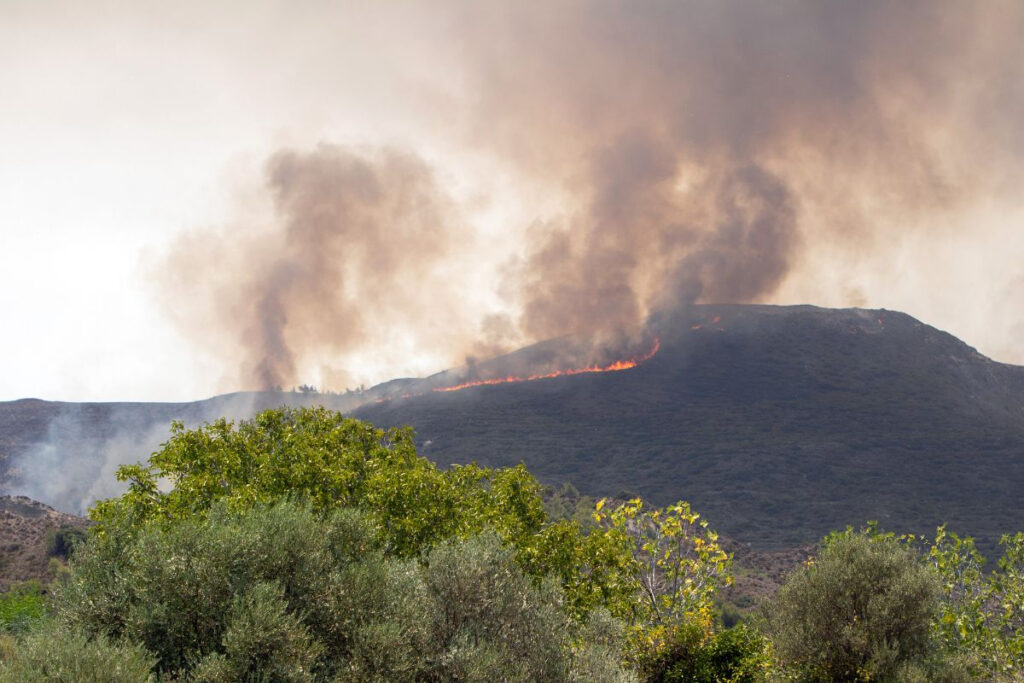 Φωτιά: Καλύτερη η εικόνα σε Λαμία, Κέρκυρα, Φθιώτιδα, «μάχη» στην Κάρυστο – 10 μέρες στις φλόγες η Ρόδος