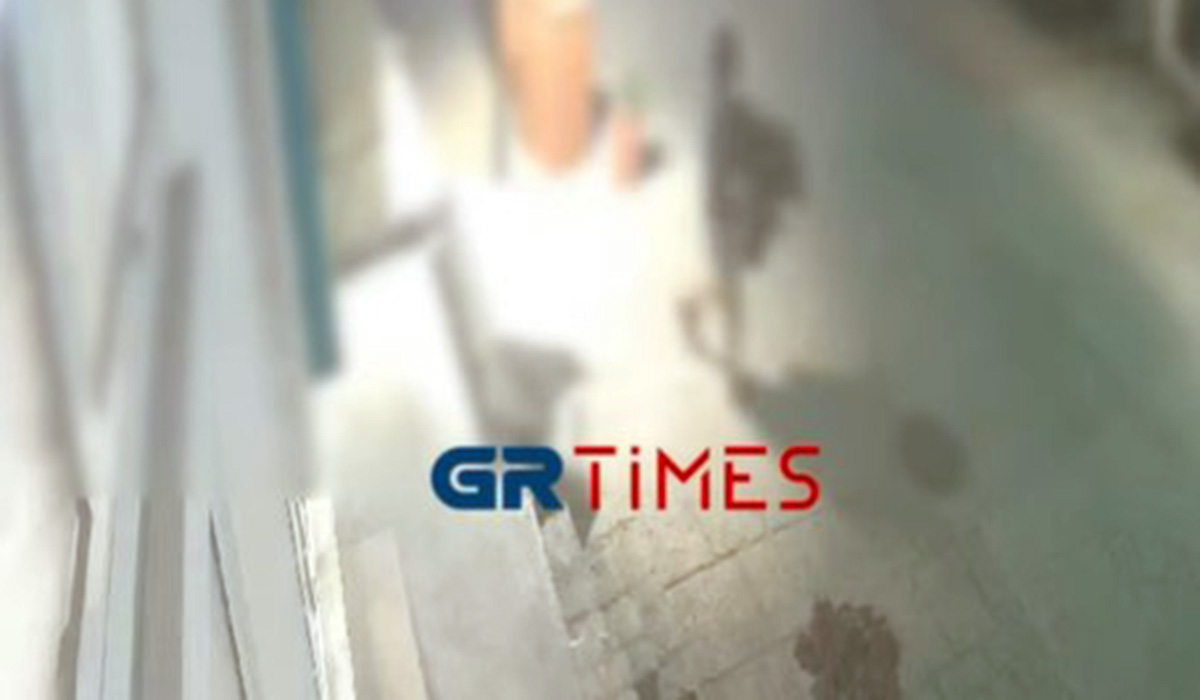 Χαλκιδική: Άγνωστοι έκλεψαν τρία έργα τέχνης και δύο… γλάστρες από έκθεση (βίντεο)