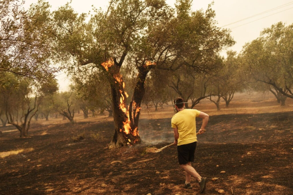 Αλεξανδρούπολη: Μηνύματα εκκένωσης για Κοίλα και Μελία – Πέρασε και στη Ροδόπη η φωτιά