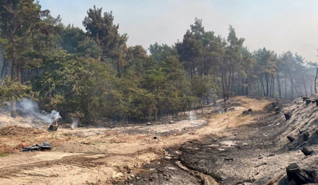Η φωτιά καίει για 6η μέρα το Δάσος της Δαδιάς – Μάχη με τις αναζωπυρώσεις σε Λέσβο