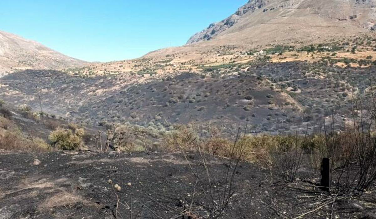 Ρέθυμνο: Στο «μικροσκόπιο» σπασμένο μπουκάλι που βρέθηκε στην περιοχή που ξεκίνησε η φωτιά