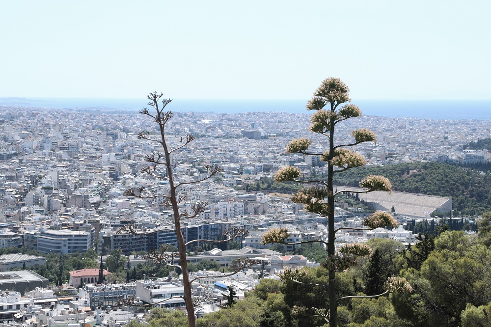 Κτηματολόγιο: Οδηγός για συναλλαγές εν μέσω lockdown