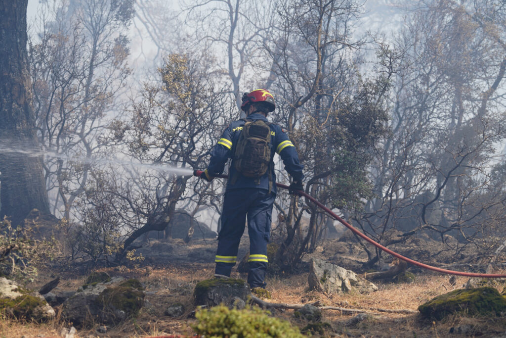 Φωτιά στην Τζίθρα Λέσβου – Καίει σε περιοχή με χαμηλή βλάστηση