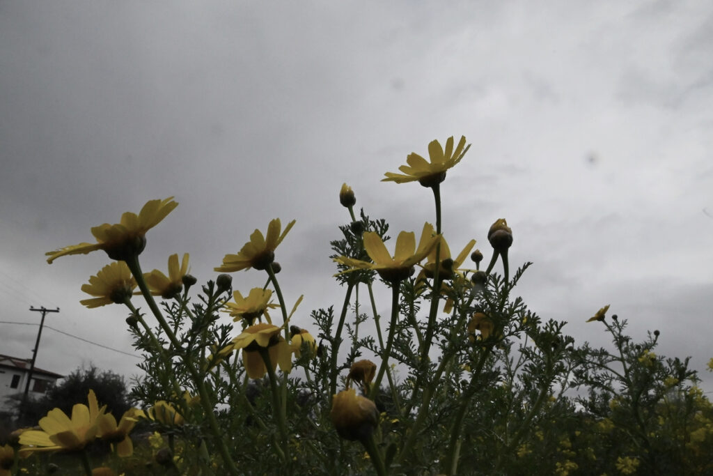 Meteo: Νέα μικρή άνοδος της θερμοκρασίας την Τετάρτη 6/3 – Πού θα εκδηλωθούν παροδικές βροχές