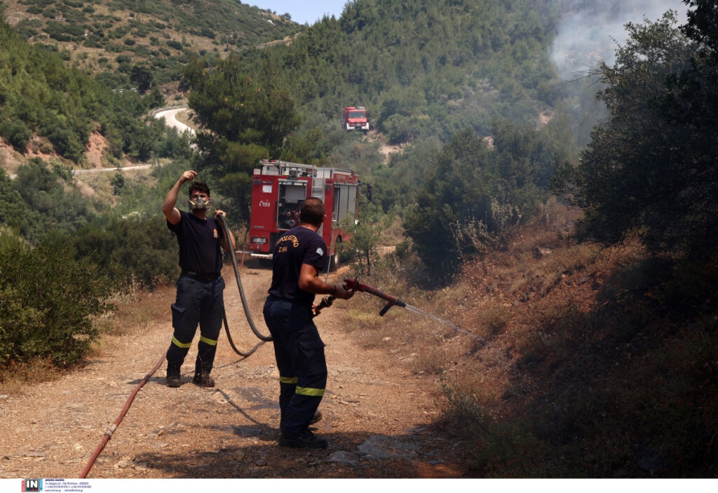 Φωτιά σε δασική έκταση στη Φθιώτιδα