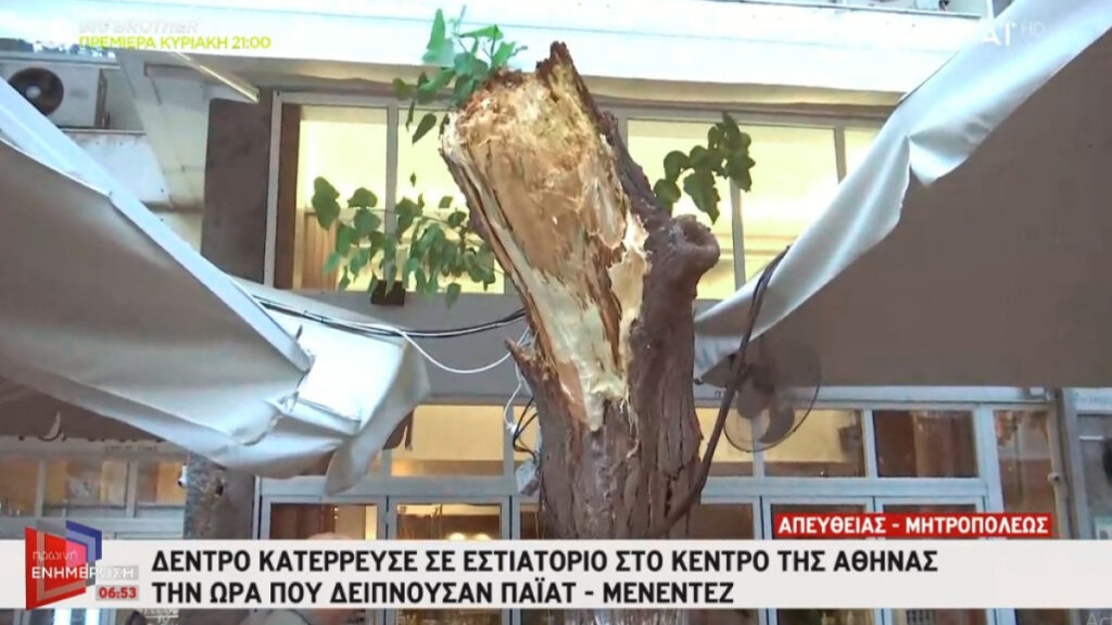 Κατέρρευσε δέντρο στο εστιατόριο που δειπνούσαν Πάιατ – Μενέντεζ στο κέντρο της Αθήνας