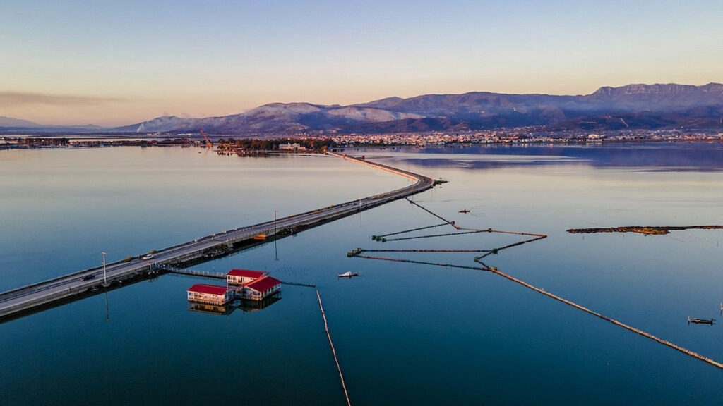 Αγωνία για τον 28χρονο αγνοούμενο στο Μεσολόγγι: Συνεχίζονται οι έρευνες – Στη «μάχη» και ο σκύλος Echo