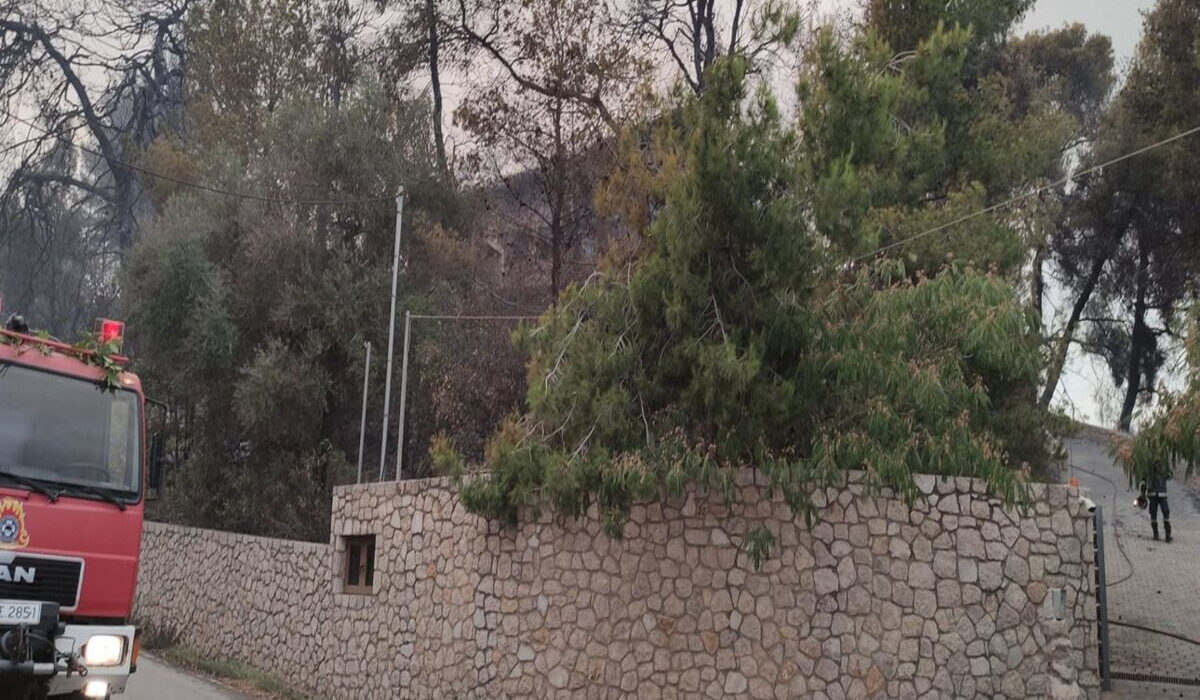 Φωτιά στη Ηλεία: Υλικές ζημιές στο σπίτι του Τζόρτζεβιτς στα Χανάκια