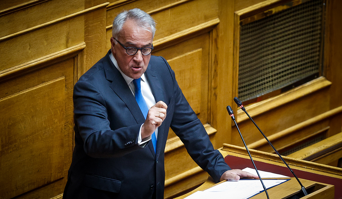 Μάκης Βορίδης: Εκπροσωπήσεις