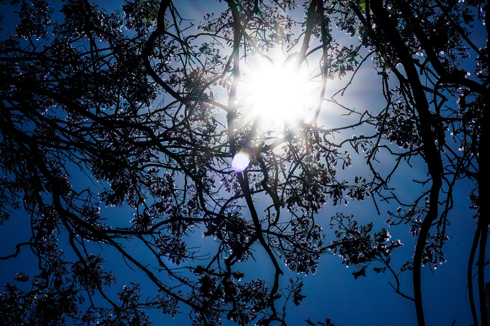 Ο καιρός αύριο Παρασκευή 17/7/2020