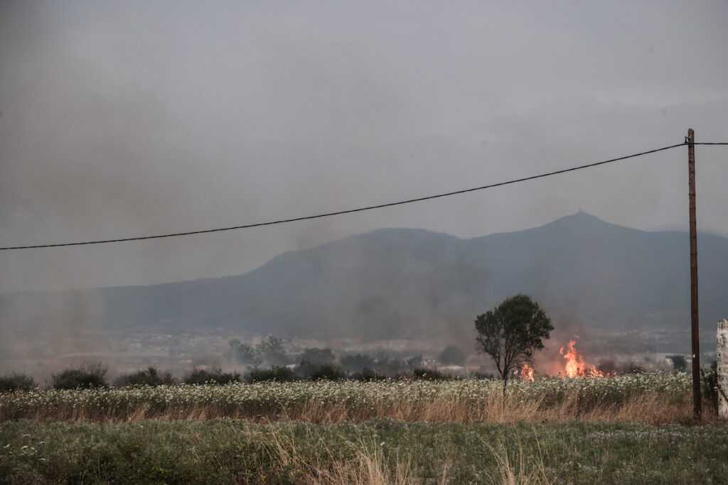 Φωτιά τώρα στην Κάρυστο
