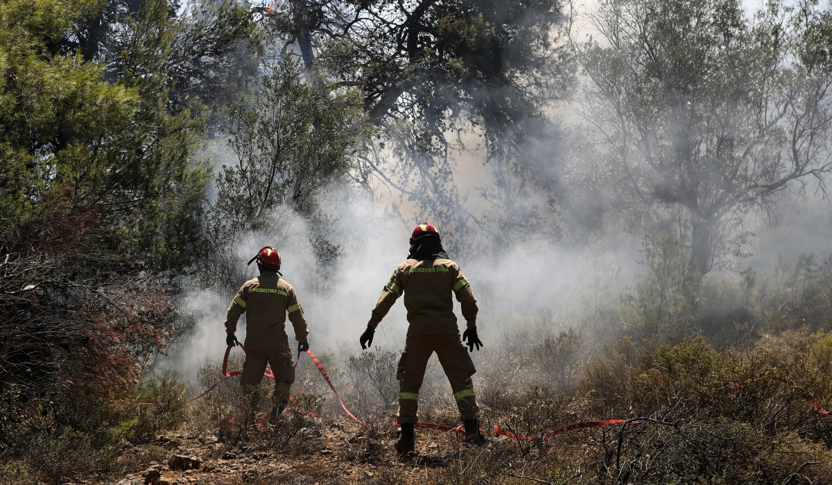 Μάχη με τις φλόγες στη Δαδιά Έβρου: 1,5 χιλιόμετρο το μέτωπο – 102 πυροσβέστες στο σημείο