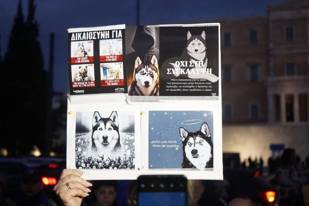 Αράχωβα: Ολική ανατροπή για τον θάνατο του Όλιβερ – Έρχονται ανακοινώσεις