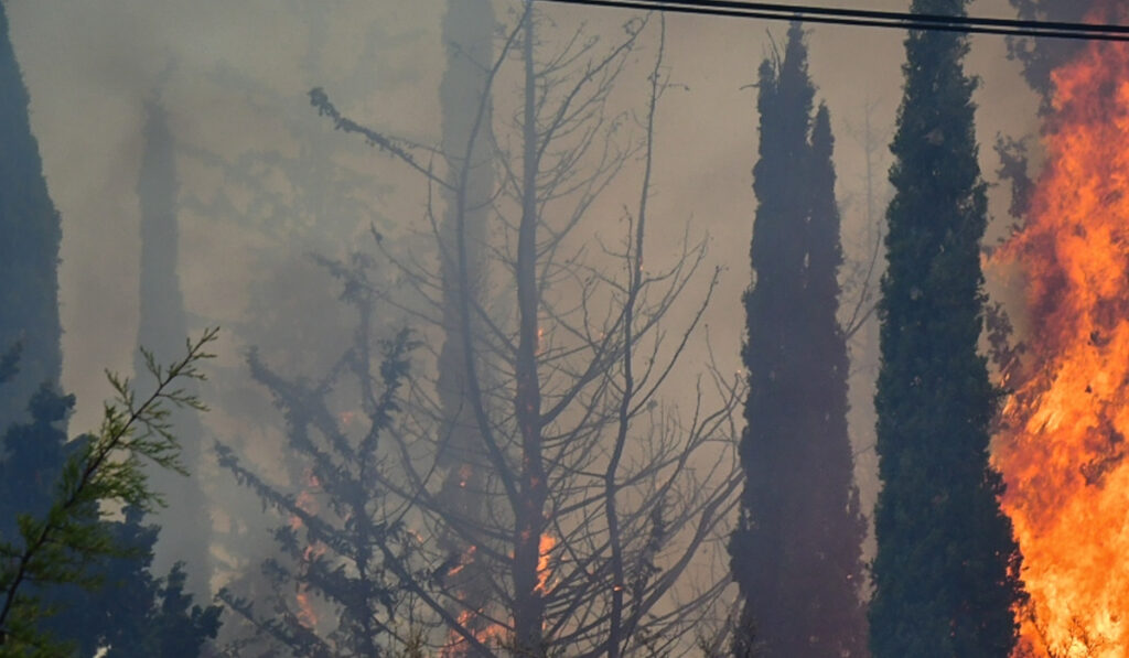 Διαχειρίσιμα τα μέτωπα της φωτιάς στην Κύπρο