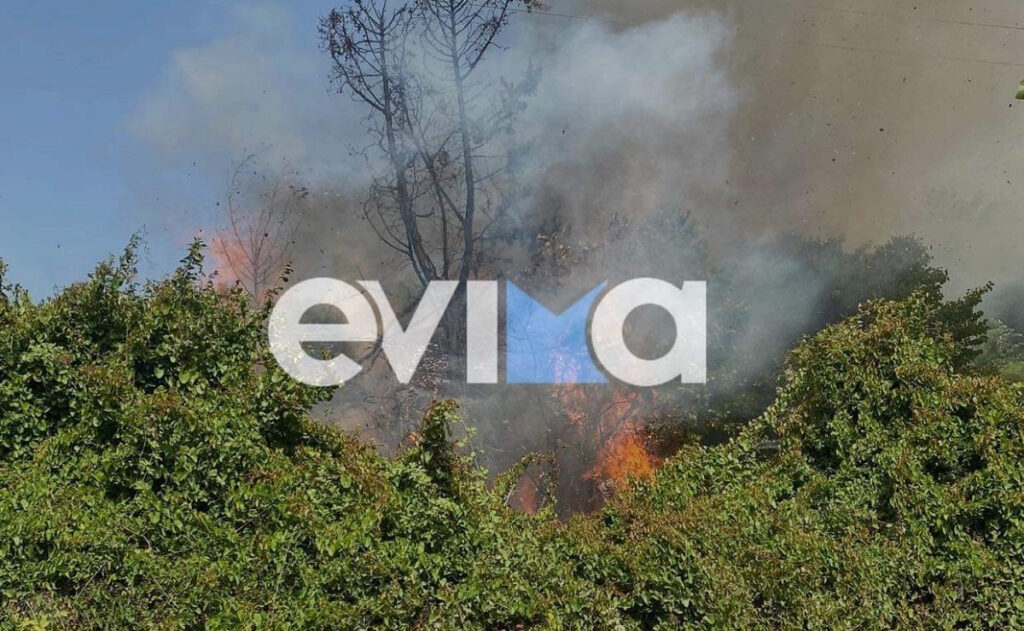 Φωτιά στην Κύμη Ευβοίας – Κοντά σε σπίτια