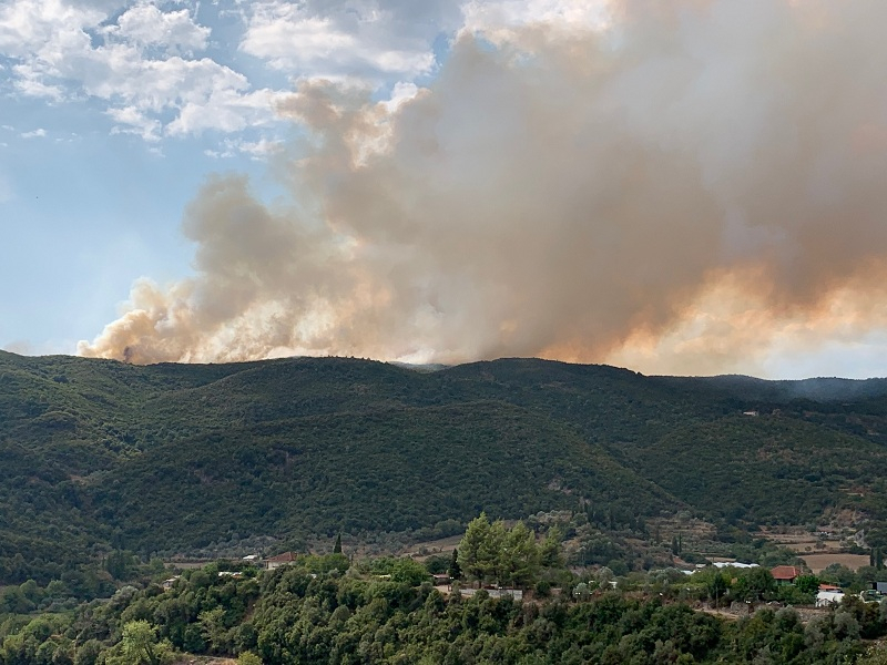 Φωτιά στο Αγρίνιο (video)