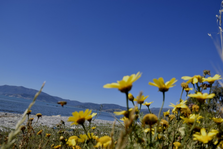 Ο καιρός αύριο Κυριακή 24/5/2020