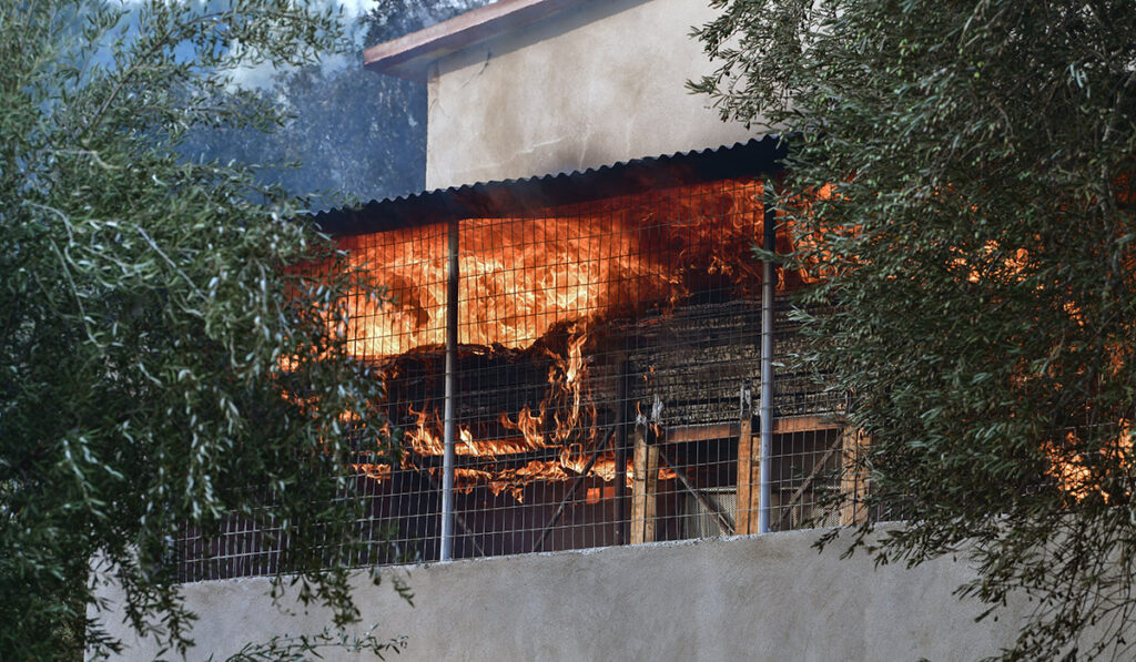 Σε πύρινο κλοιό η Γορτυνία – Χτύπησαν οι καμπάνες, μάχη να μην μπουν οι φλόγες στην Ηλεία