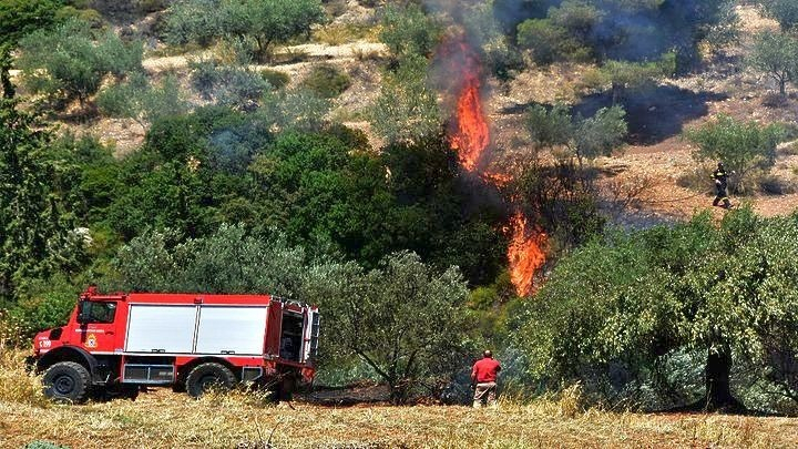 Φωτιά καίει δασική έκταση στο Κιλκίς