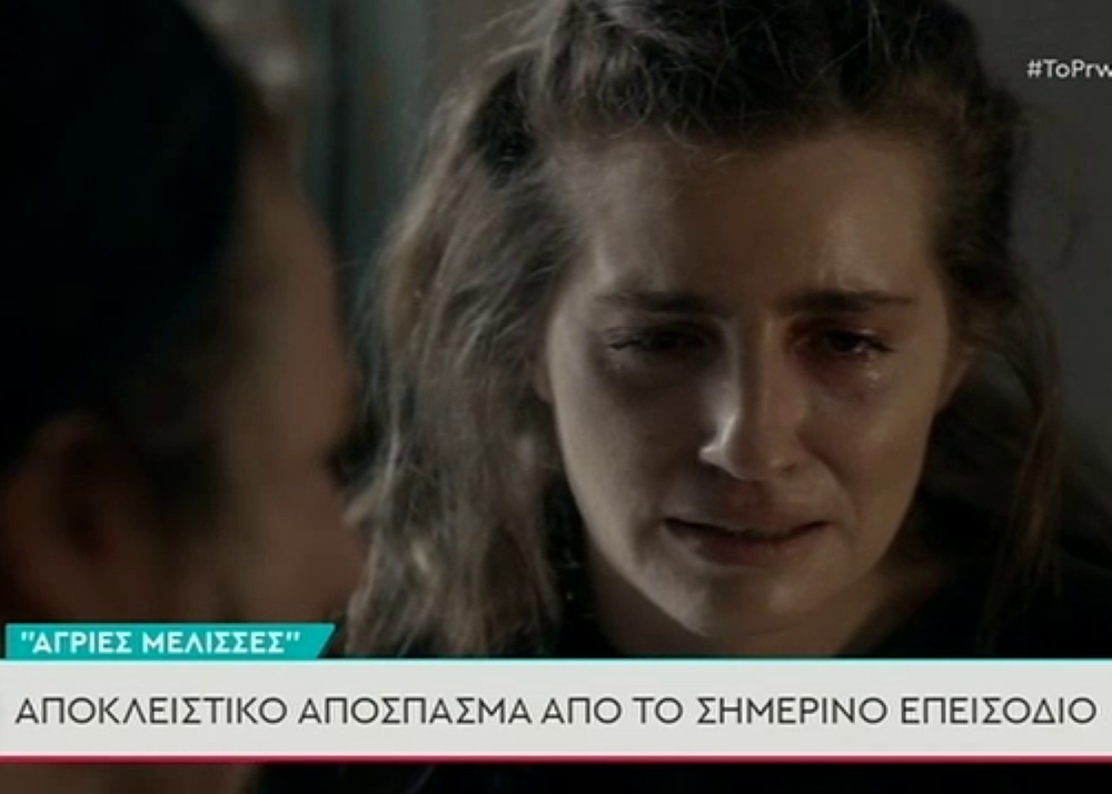 Άγριες Μέλισσες: Η ώρα μηδέν για τις αδελφές Σταμίρη έφτασε