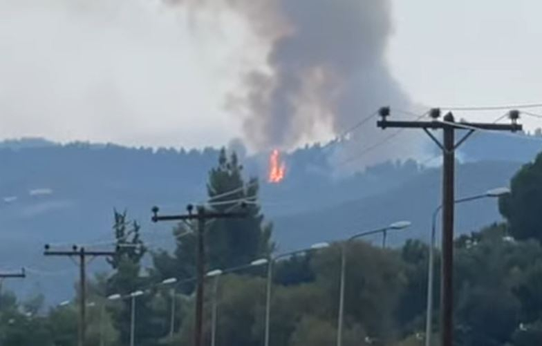 Συναγερμός για φωτιά στη Χαλκιδική – Οι πρώτες εικόνες