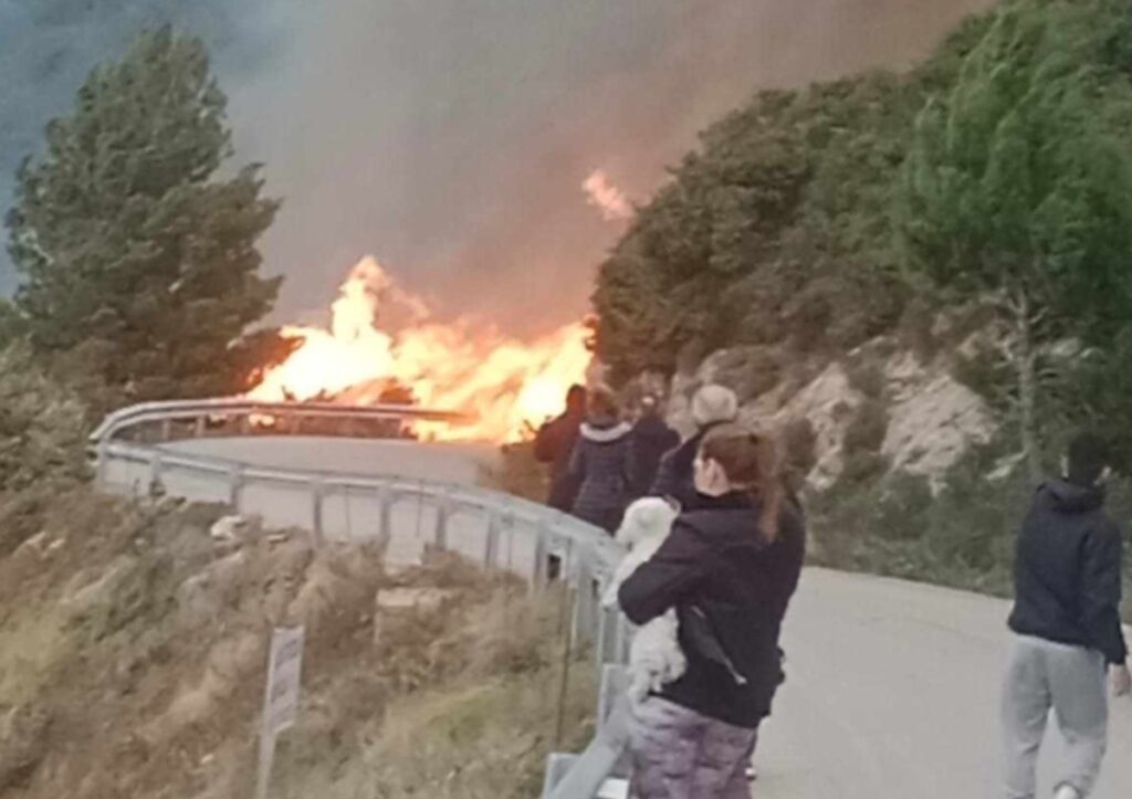 Υπό πλήρη έλεγχο η φωτιά στη Λευκάδα