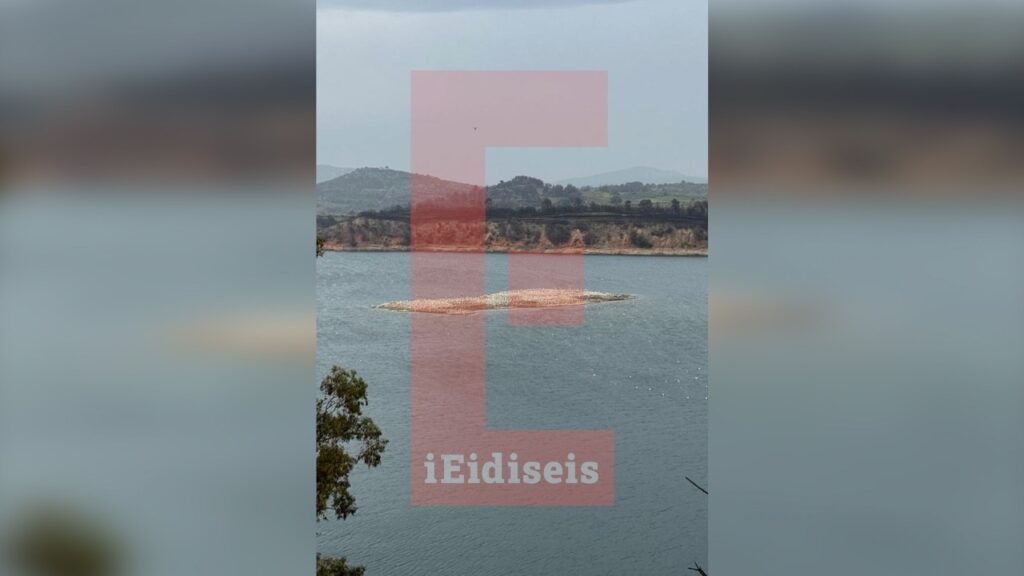 Βραχονησίδα εμφανίστηκε στη λίμνη Μαραθώνα