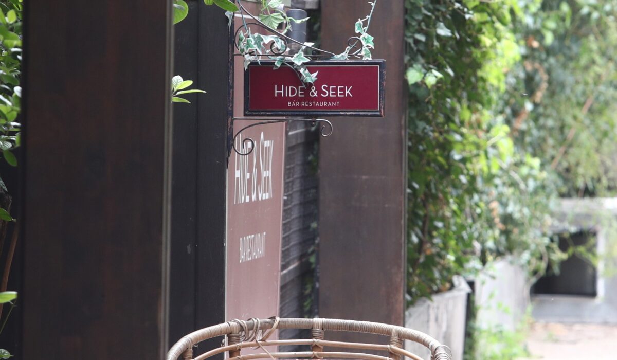 Hide & Seek